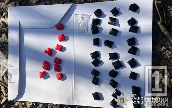 Заборонка в багажнику: у Покровському районі Кривого Рогу затримали збувача