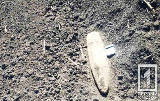 Недалеко от Кривого Рога во время работ в огороде нашли боеприпасы