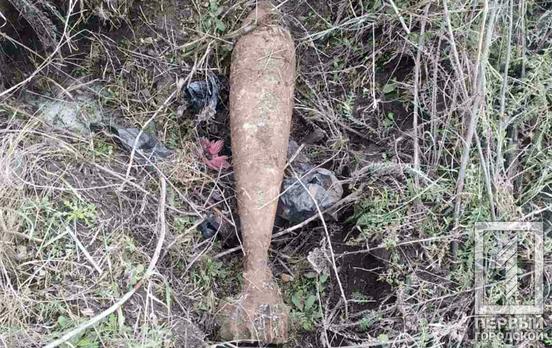 В Кривом Роге мужчина наткнулся на миномётную мину времён Второй мировой