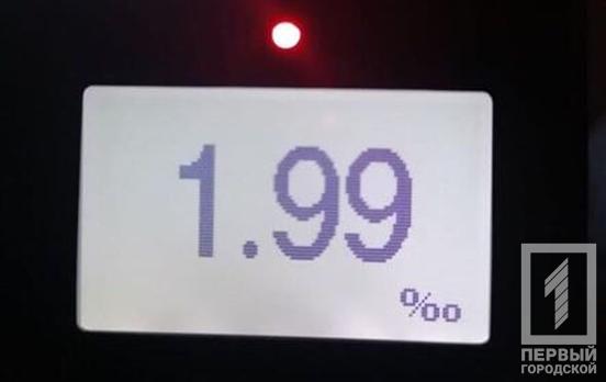 Во время пасхальных выходных патрульные Кривого Рога составили 65 протоколов на пьяных водителей