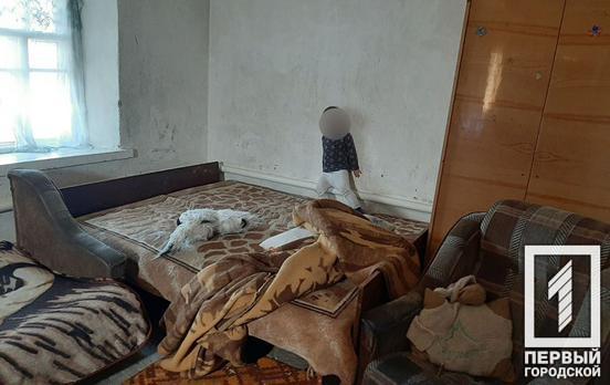 В Кривом Роге социальные службы изъяли ребёнка из семьи