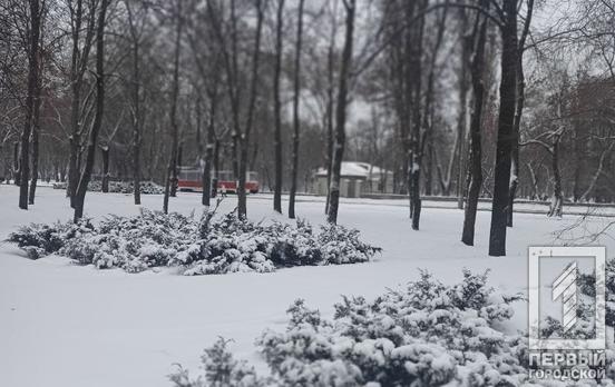 8 февраля в Кривом Роге будет снегопад