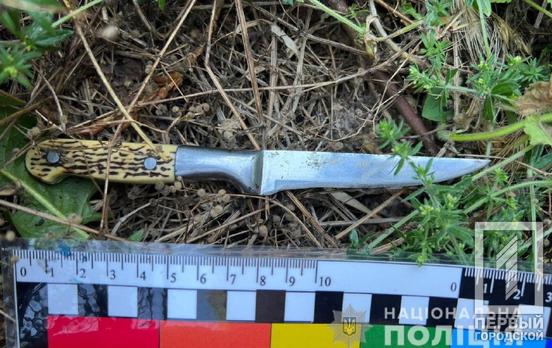 Поліцейські Кривого Рогу затримали чоловіка, який пограбував жінку, погрожуючи ножем