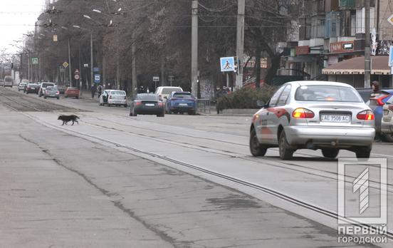 Одна з найспокійніших ночей з початку війни: Рада оборони області відзвітувала на ранковому брифінгу