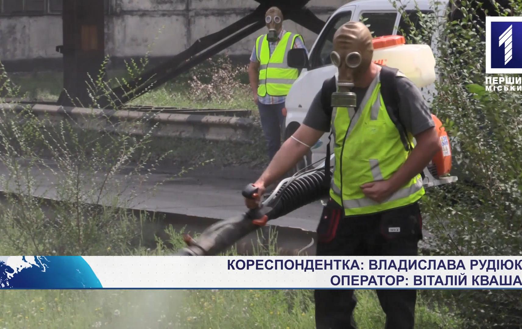 Боротьба з амброзією на Інгулецькому ГЗК