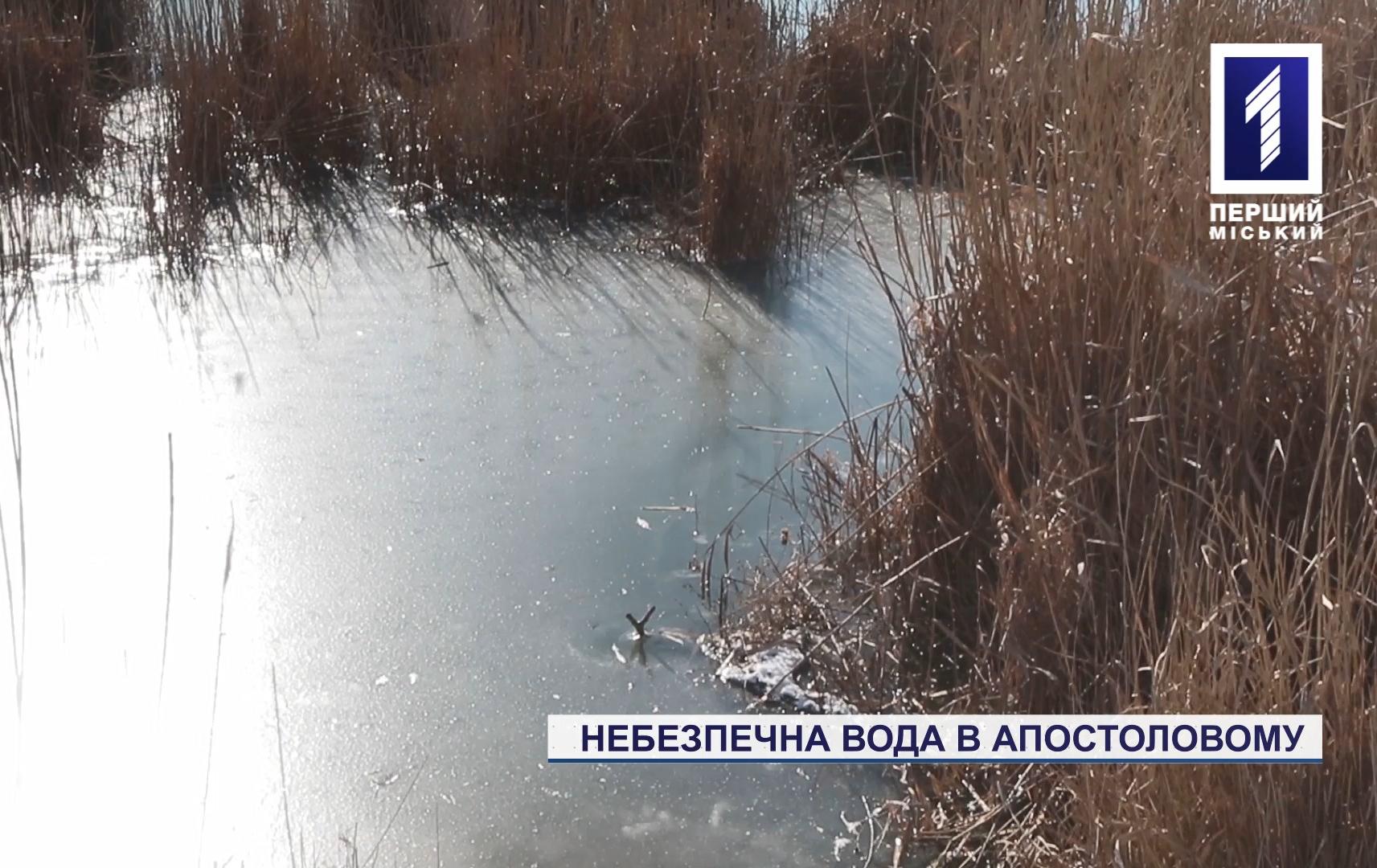 Пестициди у Каховському водосховищі поблизу Кривого Рогу