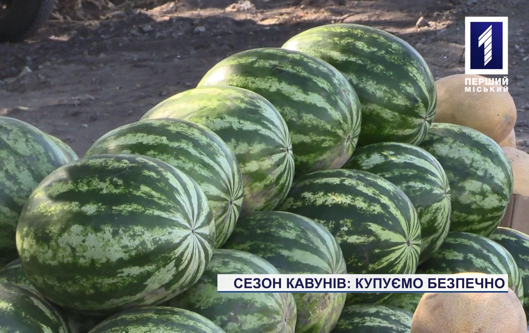 Чи безпечні кавуни продають у Кривому Розі