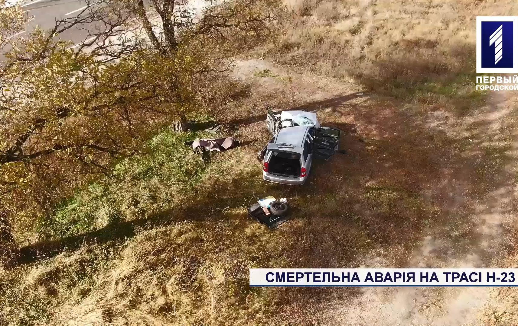 Смертельна аварія на трасі Н-23