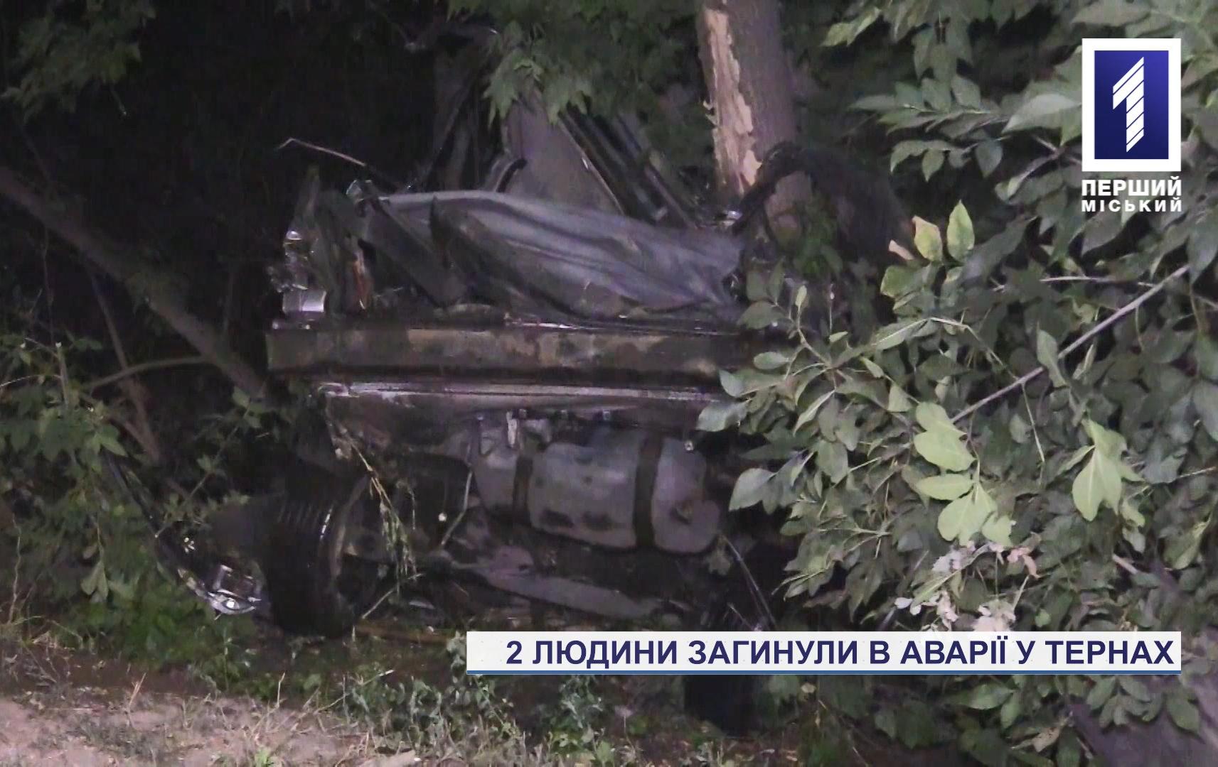 Двоє чоловіків загинули в аварії у Кривому Розі