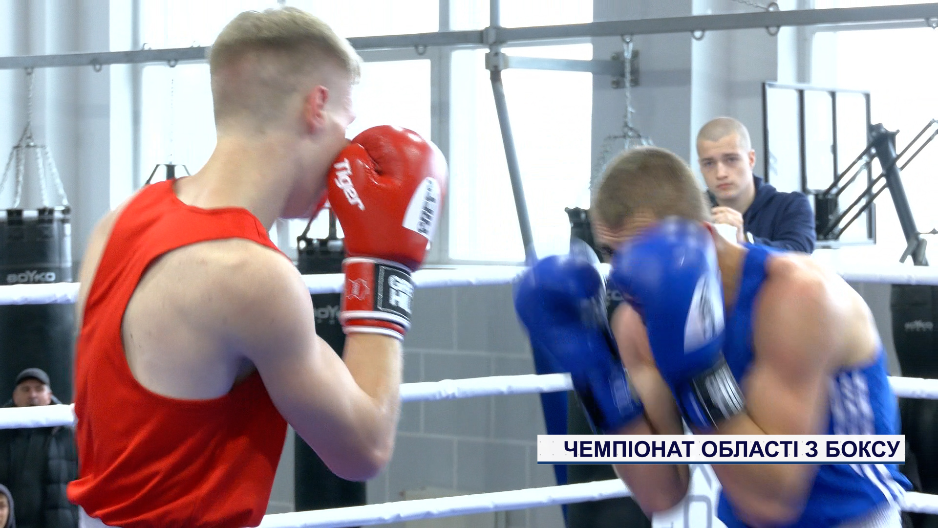 У Кривому Розі відбувся чемпіонат області з боксу