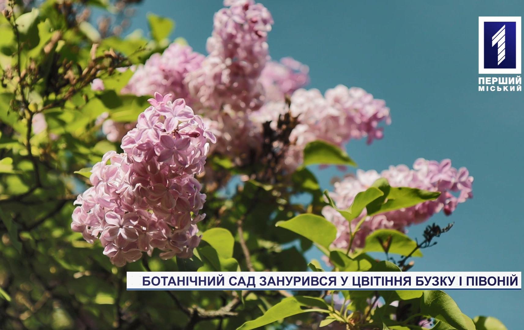 Пора весеннего цветения в ботаническом саду Кривого Рога