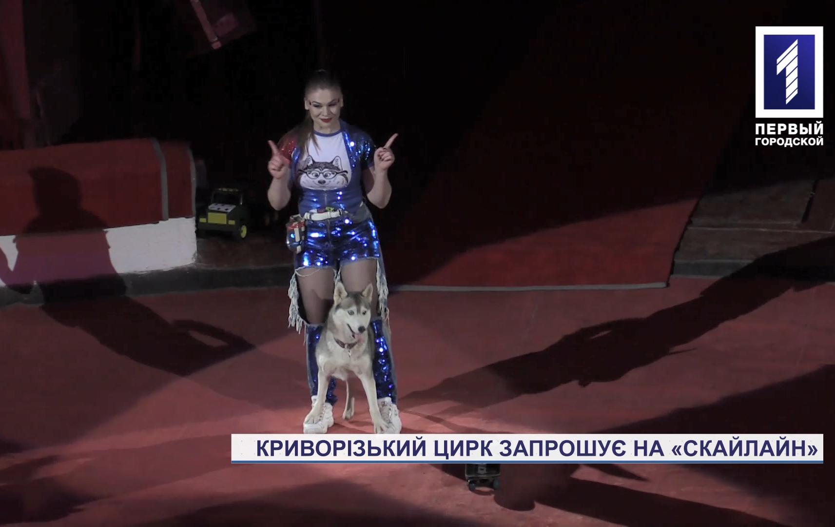 У Кривому Розі після восьмимісячної паузи запрацював цирк