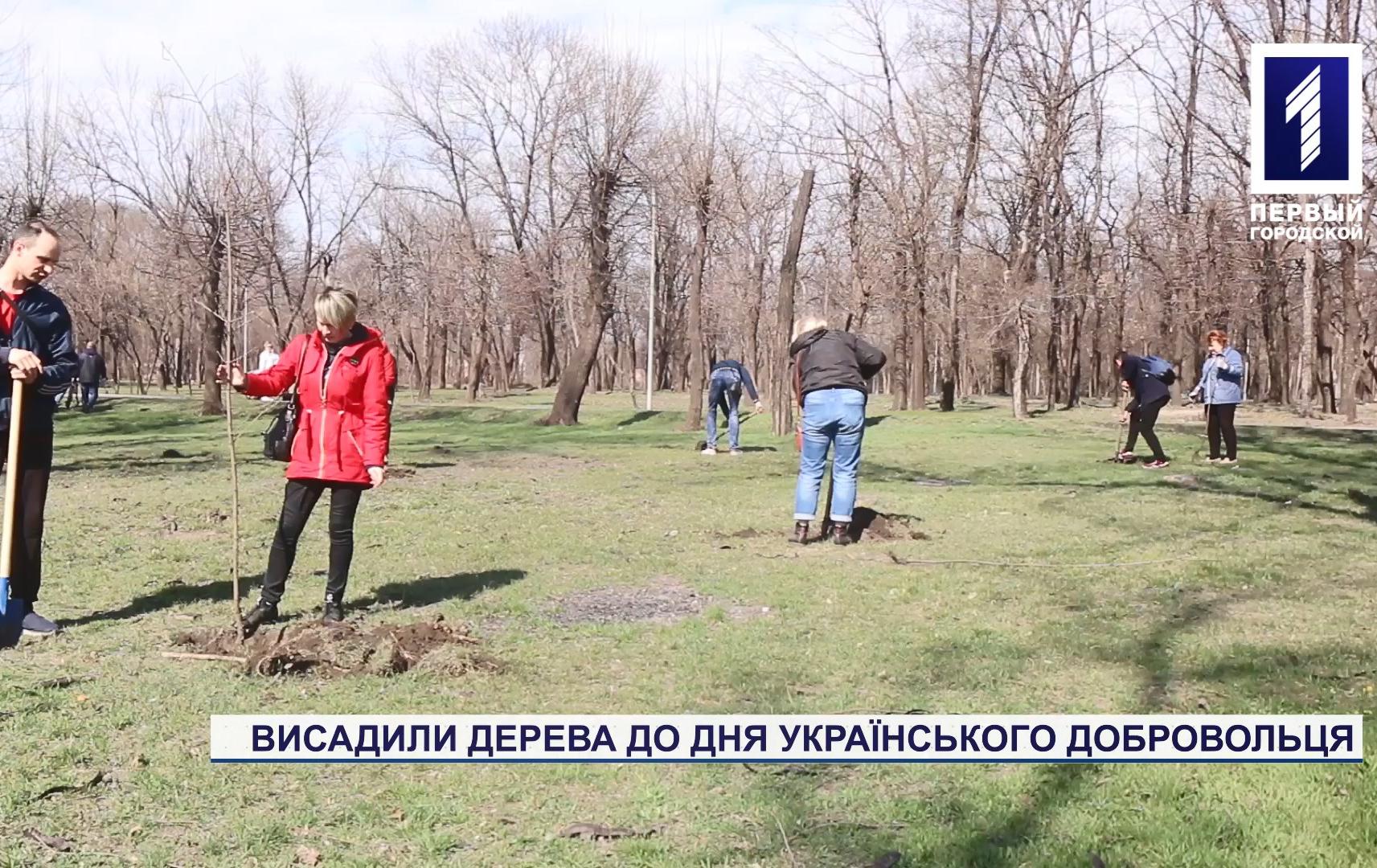 У Кривому Розі до Дня добровольця висадили дерева