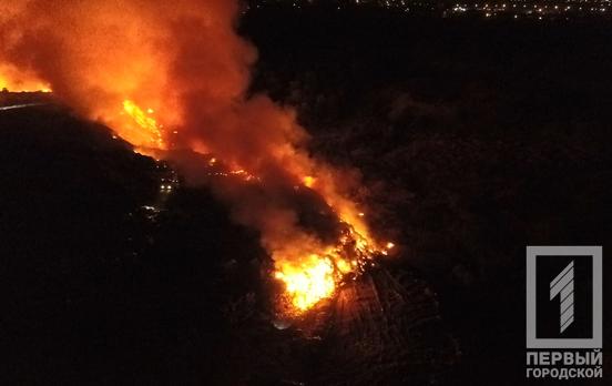 Причиной пожара на мусорном полигоне в Кривом Роге мог стать умышленный поджог, – эксперты