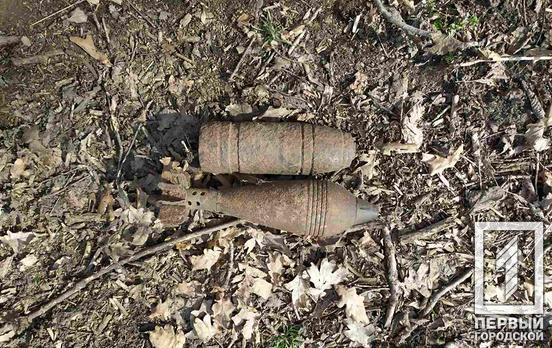Под Кривым Рогом мужчина искал металлолом, а нашёл боеприпасы времён Второй мировой войны