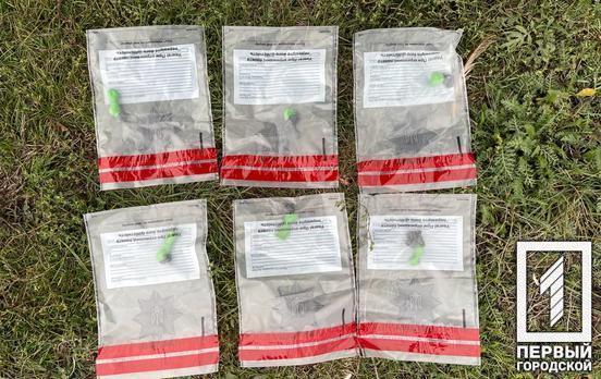 У Кривому Розі викрили угруповання, що заробляло на «закладках» наркотиків до 3 млн грн щомісяця