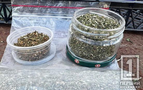 Пів мільйона «зелених» за місяць: у Дніпрі, Києві та Одесі ділки розвозили кокаїн «VIPам» під час комендантської години