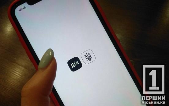 5000 грн для першачків: покроковий алгоритм отримання «Пакунку школяра»  у «Дії»