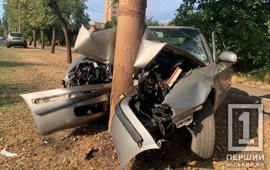 У Кривому Розі на вулиці Волонтерів Skoda влетіла у стовп