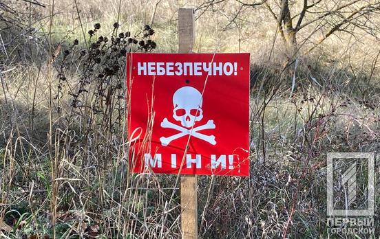 Сотні авіабомб та десятки тисяч вибухонебезпечних предметів щомісяця: скільки в Україні знищується боєприпасів при розмінуванні