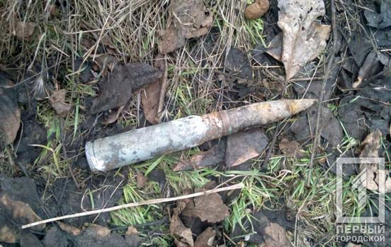 В Кривом Роге обезвредили два боеприпаса