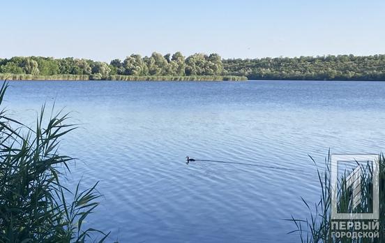 Візитівка індустріальної столиці України: у Кривому Розі пройшов «Еко-вікенд» на гранітному кар’єрі на Зарічному