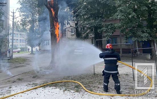 За добу на Дніпропетровщині вирувало полум’я на понад 30 гектарах екосистем