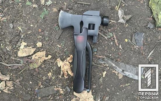 Побили молотком, руками і ногами: у Кривому Розі затримали двох чоловіків, які забрали у перехожого мобільний та гроші у лісосмузі