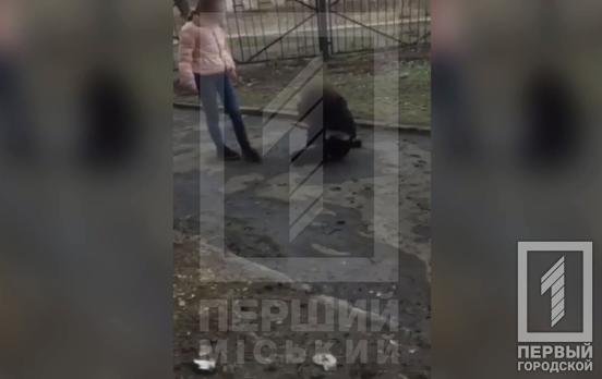 Департамент образования Кривого Рога проведёт служебную проверку во всех учебных заведениях после драки школьниц