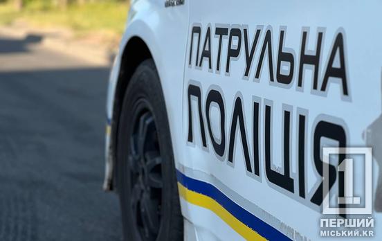За последнюю неделю в Зеленодольской общине Криворожского района правоохранители зафиксировали ряд правонарушений: от грабежа до управления автомобилем в нетрезвом состоянии