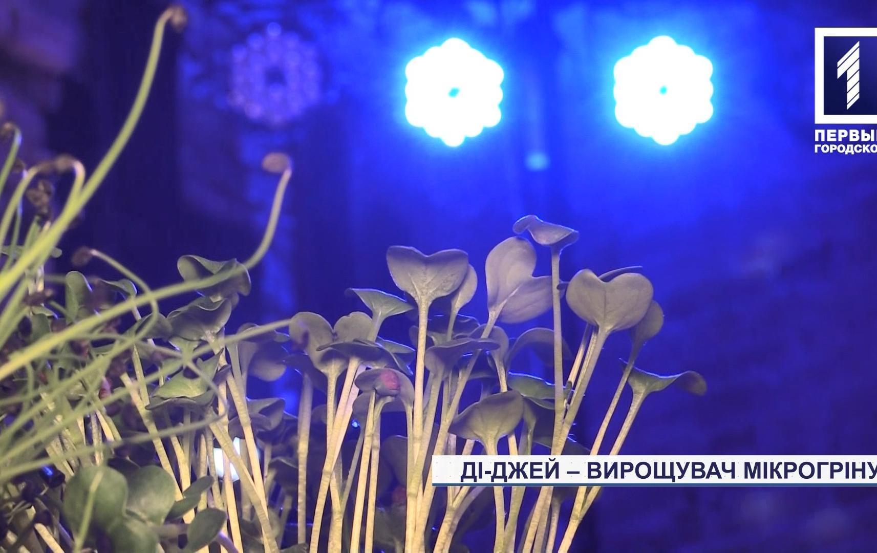 Ді-джей створив ферму з вирощування мікрогріну у Кривому Розі