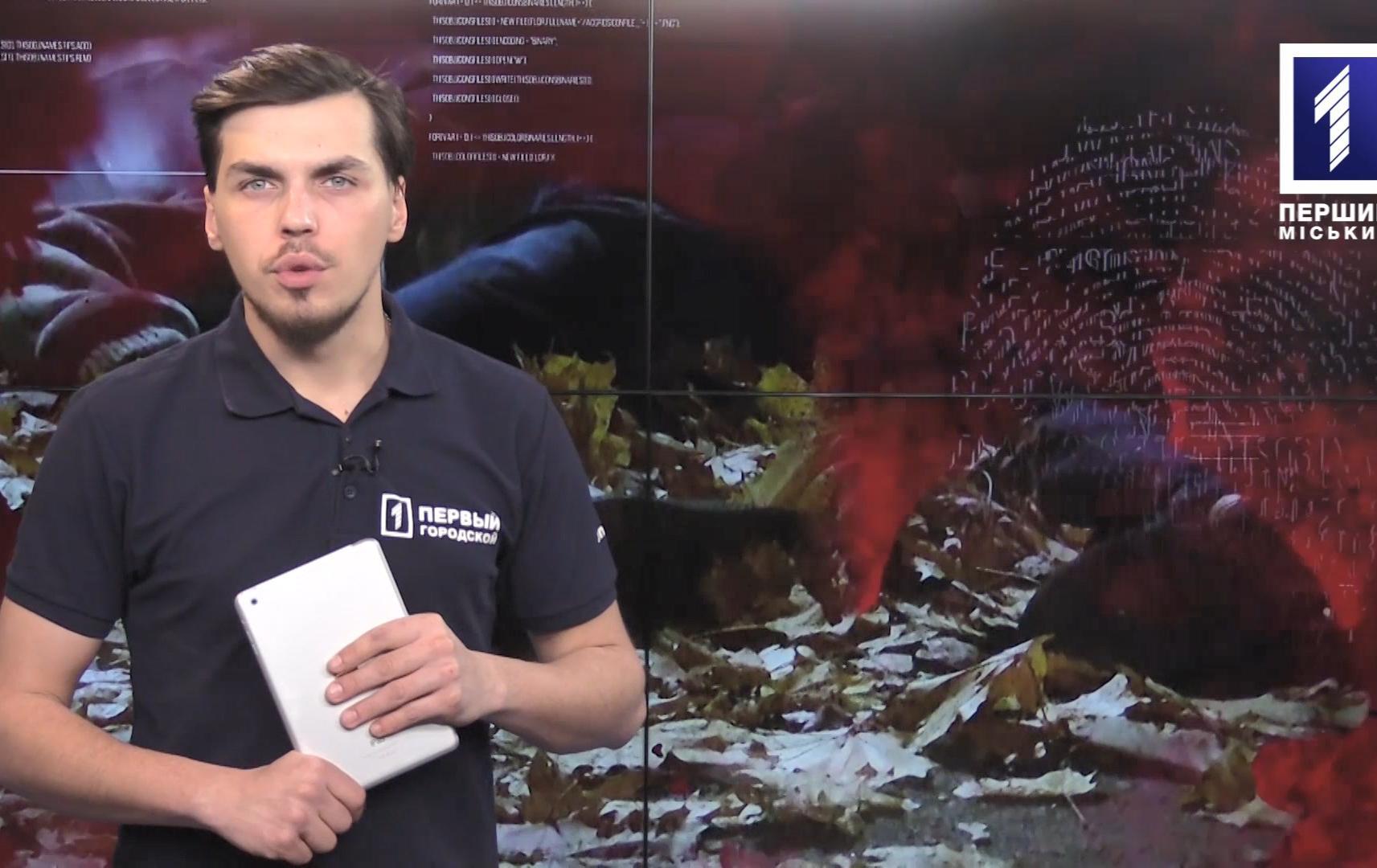 Кримінальний Кривбас: суд над «Осірісом», діти травмувалися у аварії, палаючі електрощитові