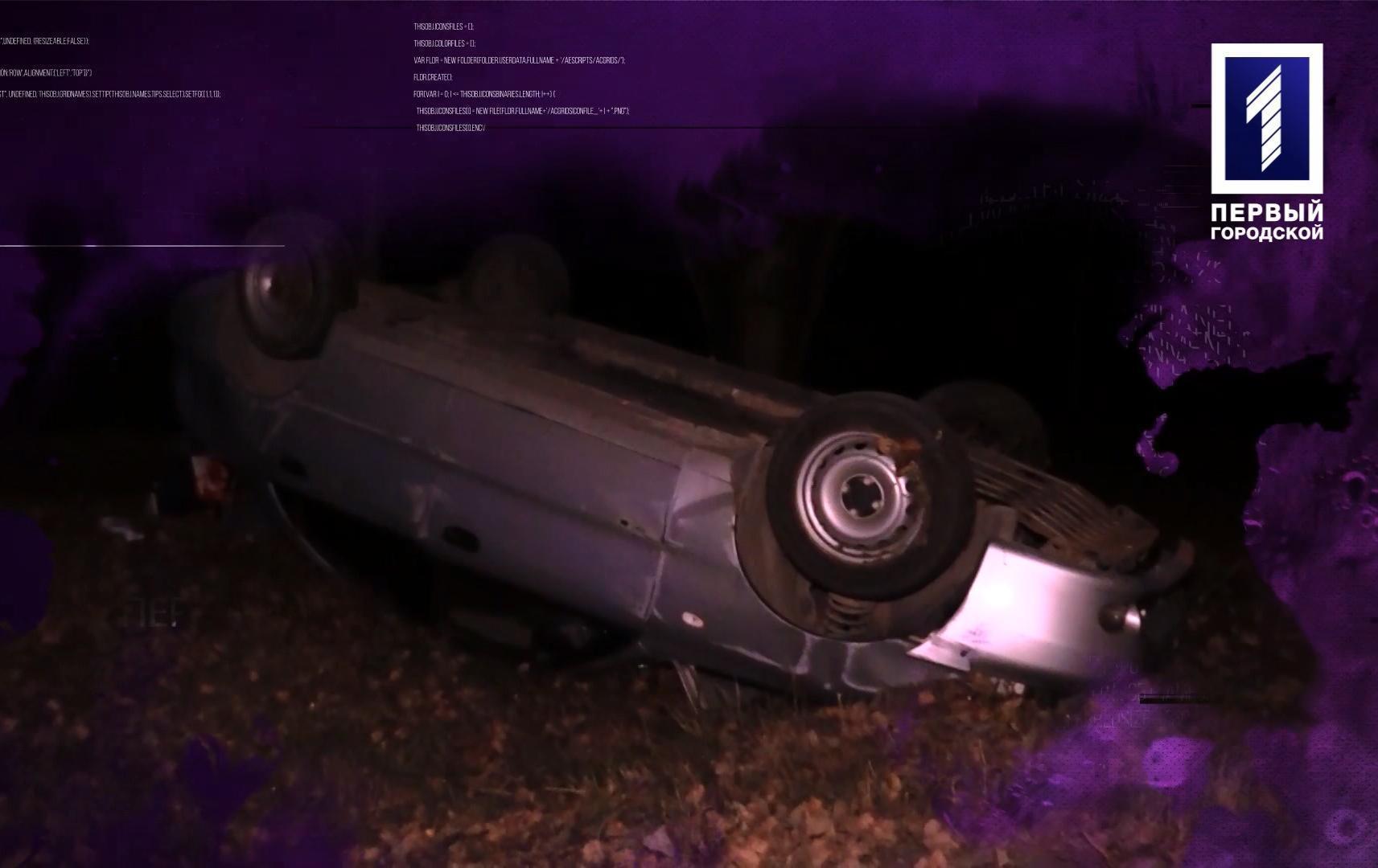 Кримінальний Кривбас: забив цеглиною, перевернувся на дах, «мати-зозуля»