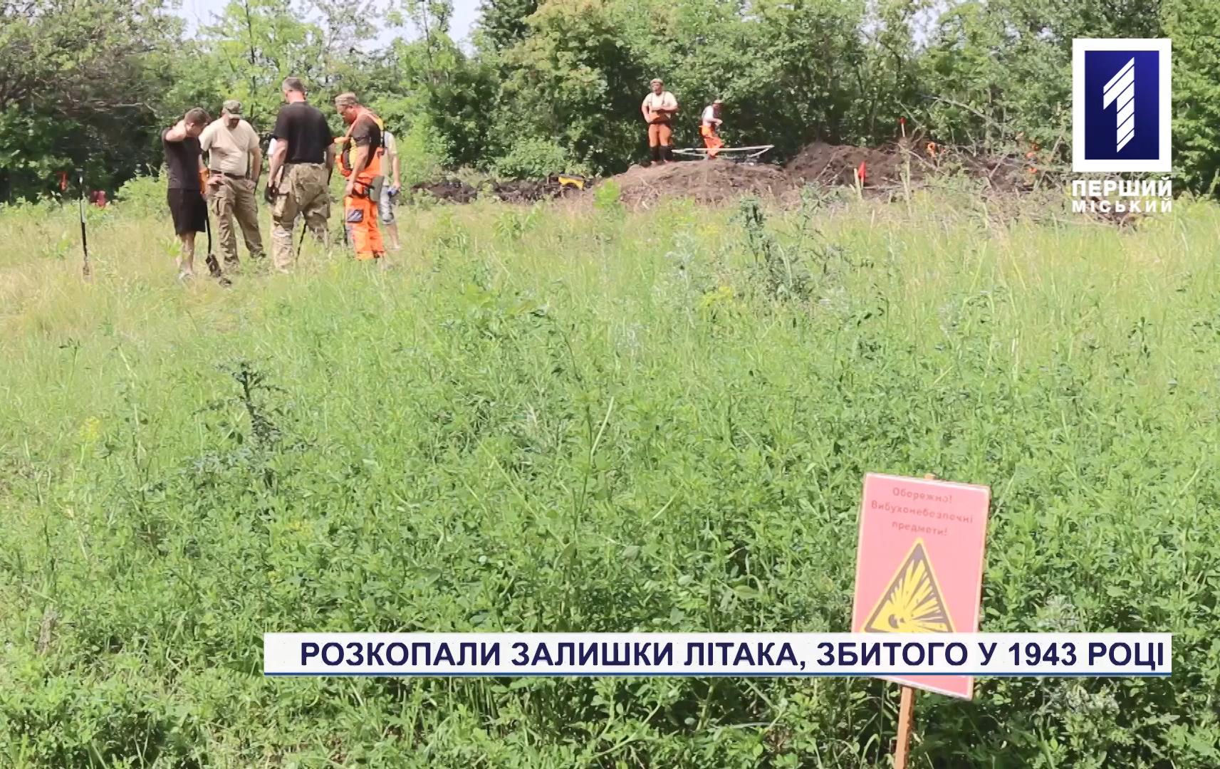 Недалеко від Кривого Рогу розкопали збитий військовий літак