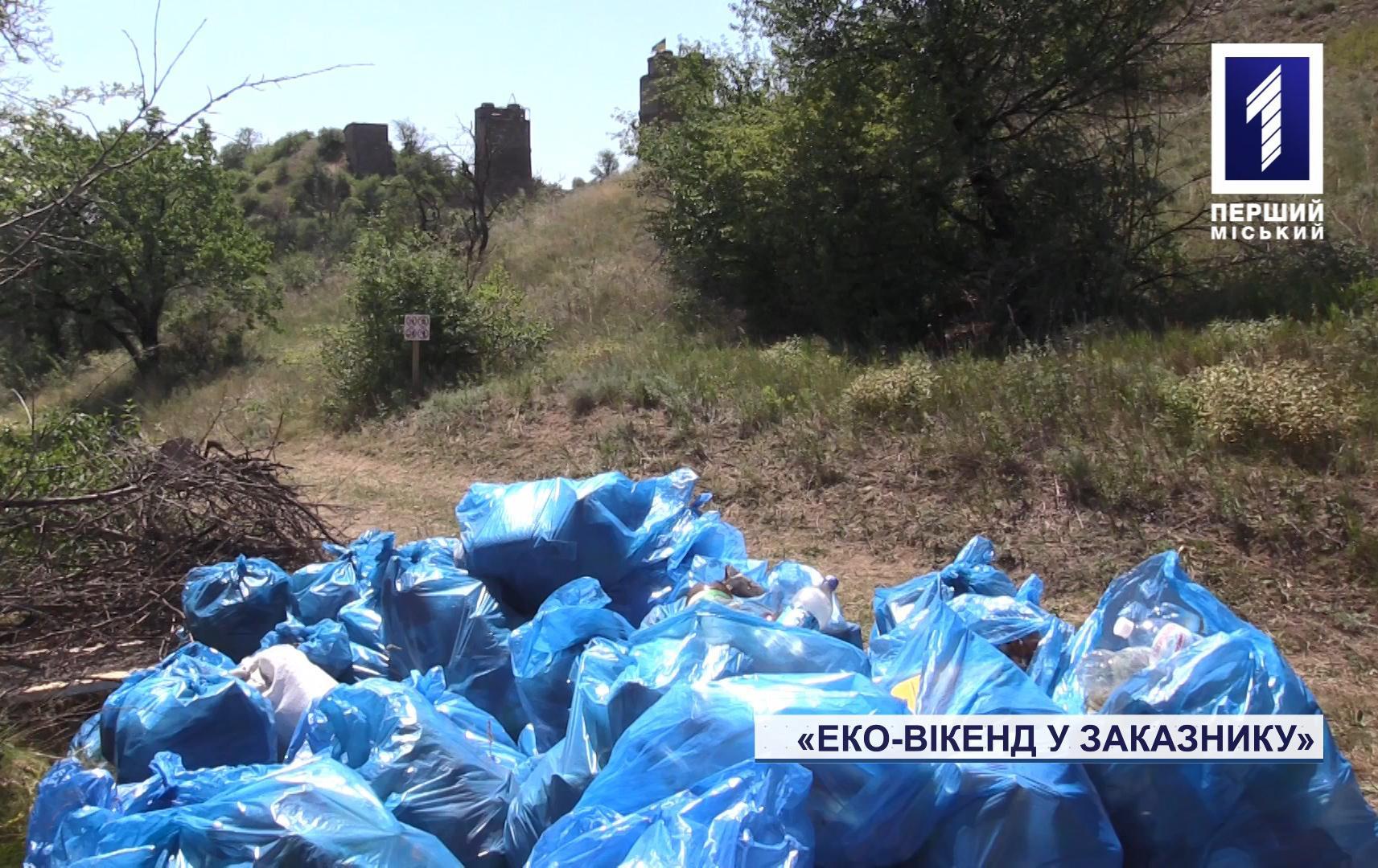 У Кривому Розі пройшла акція «Еко-вікенд 2020»