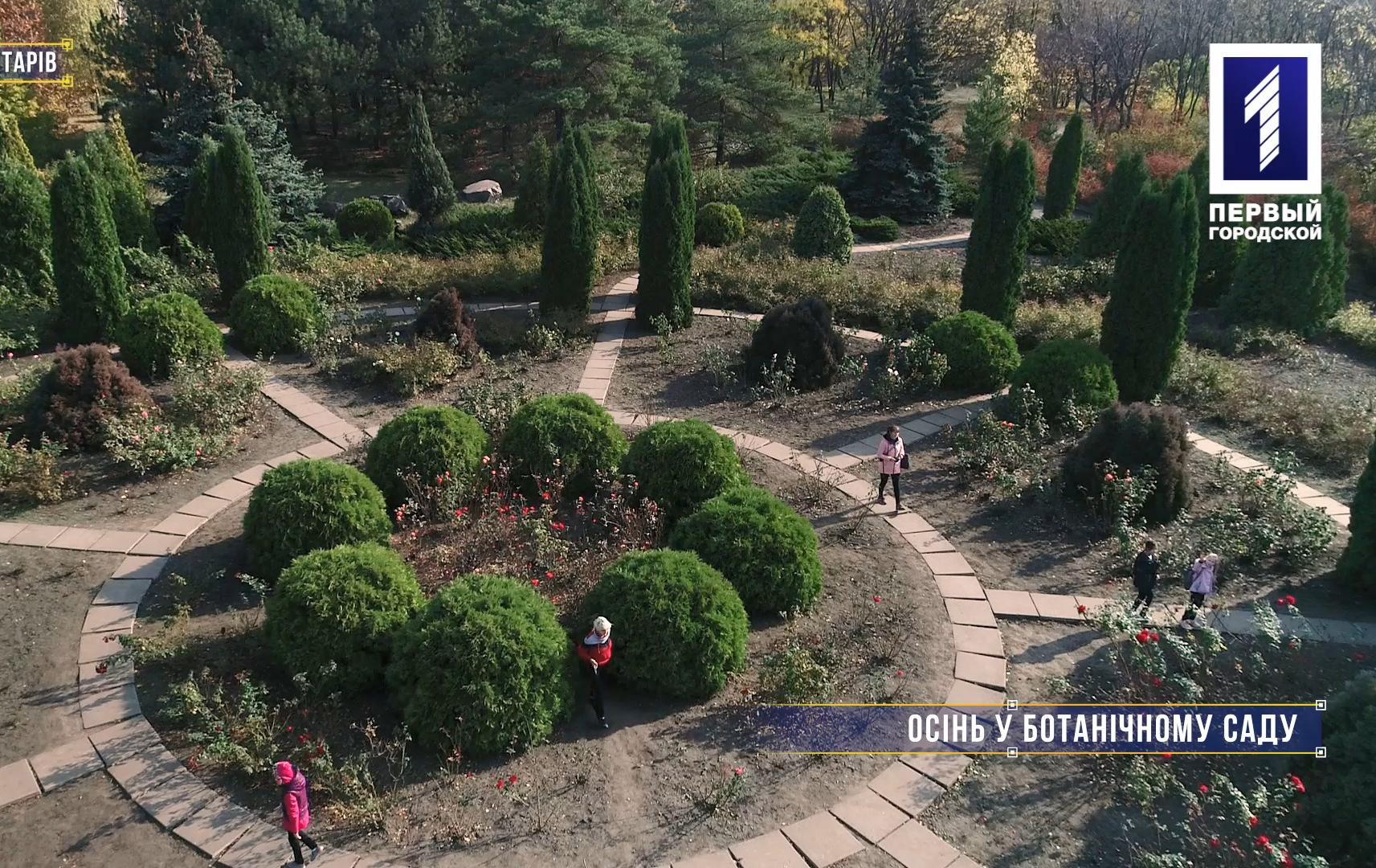 Без коментарів: осінь у ботанічному саду