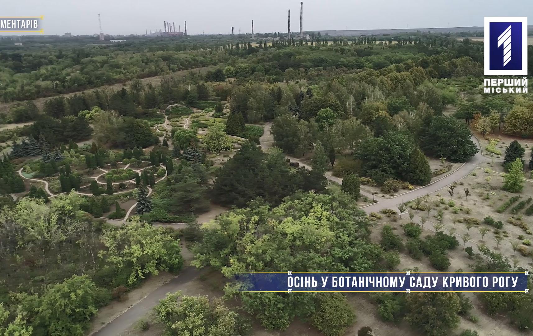 Без коментарів: осінь у ботанічному саду Кривого Рогу