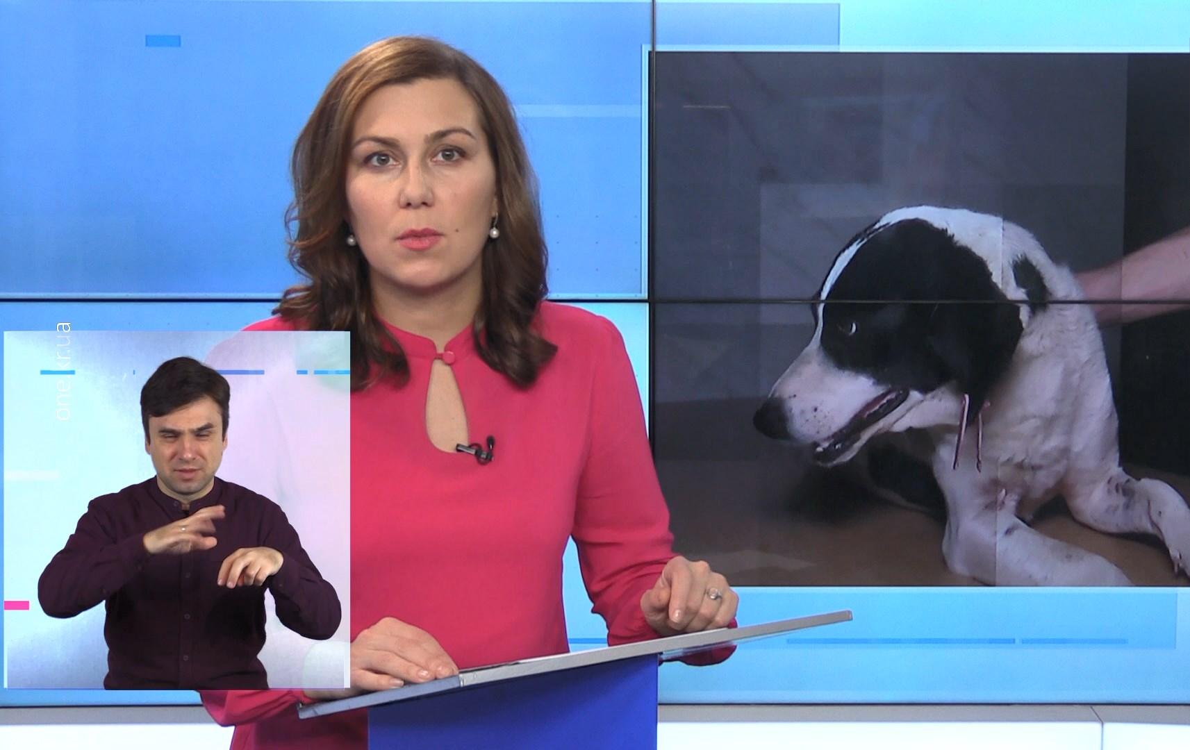 Новини Кривбасу 2 листопада (сурдопереклад): COVID-19, потруїли собак, штурмовик