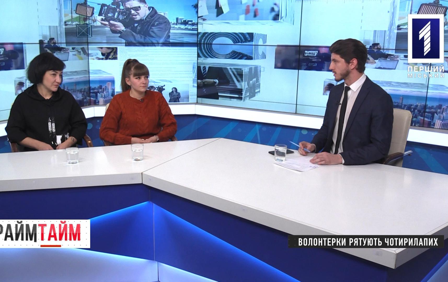 Прайм-тайм: волонтерки рятують чотирилапих