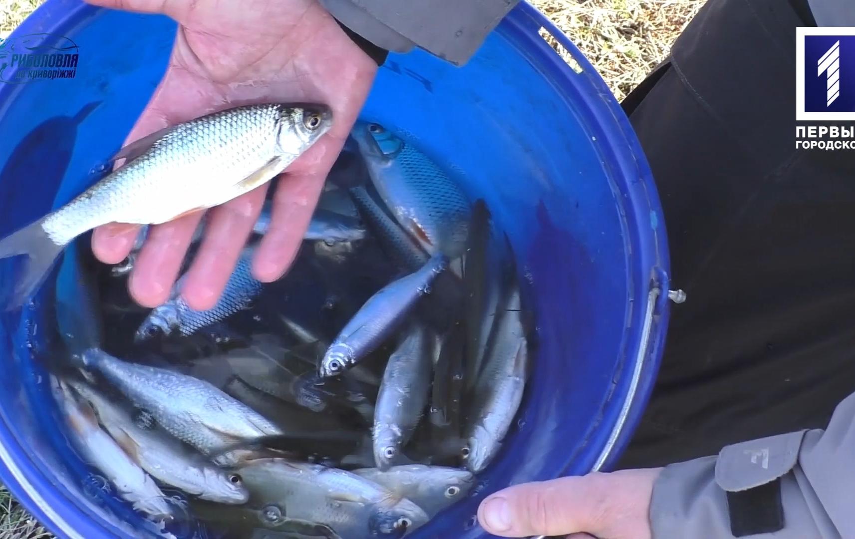 Риболовля на Криворіжжі: вудочка з поплавком