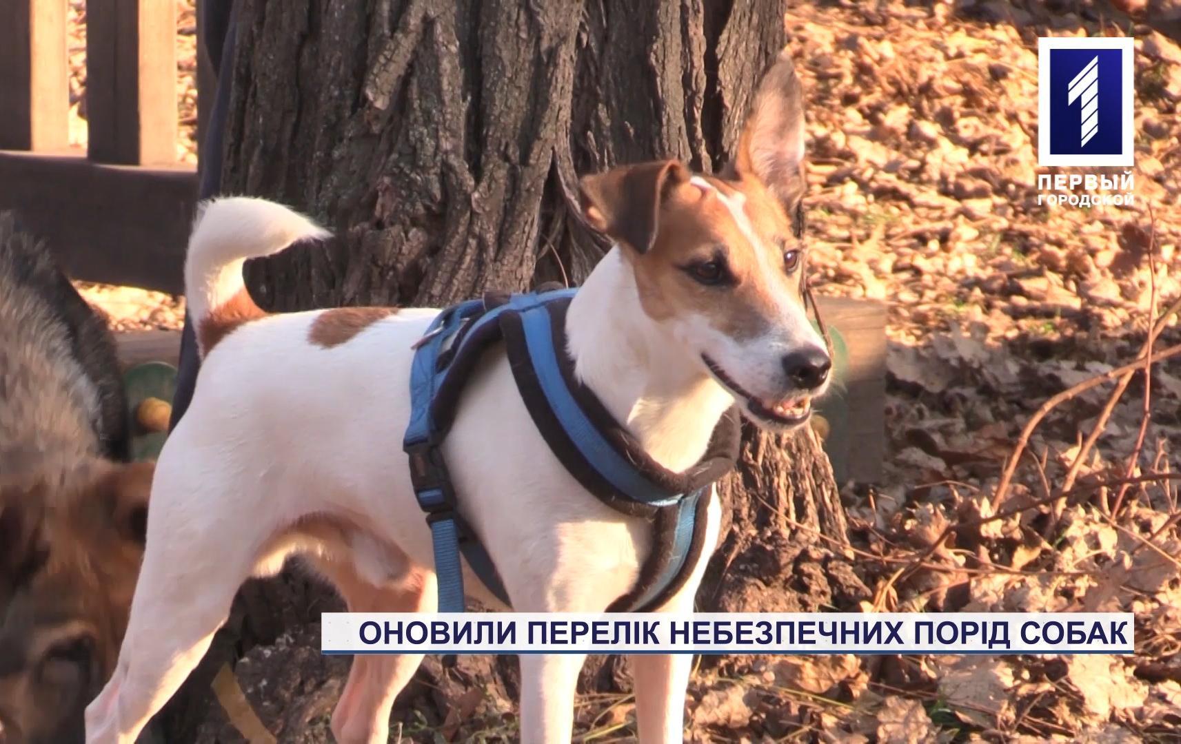 Оновили перелік небезпечних порід собак
