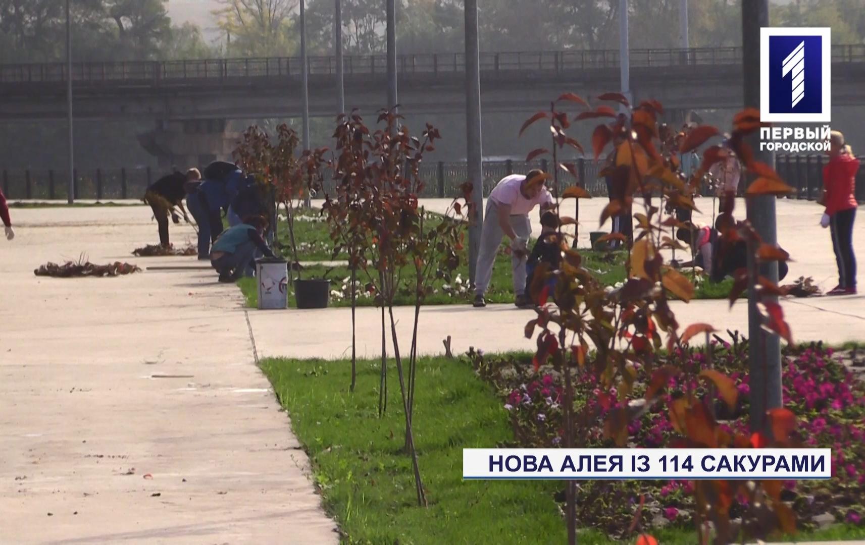 Спецрепортаж: за підтримки «АрселорМіттал Кривий Ріг» висадили алею з 114 сакур