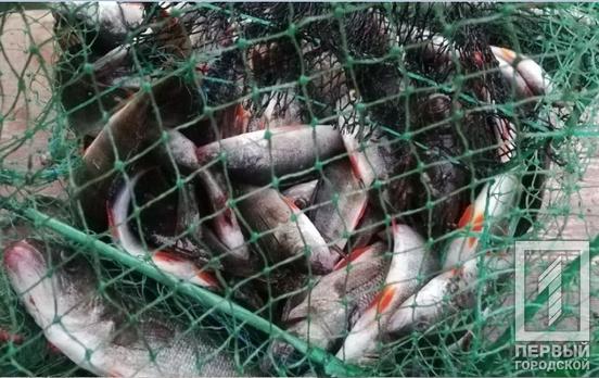 За прошлую неделю в Кривом Роге зафиксировали ряд нарушений нерестового запрета, большинство браконьеров пользовались «паучком»