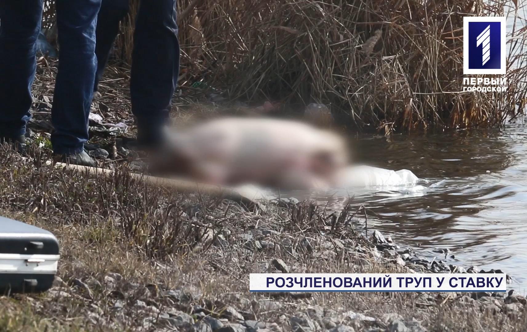 У ставку у Кривому Розі знайшли розчленоване тіло жінки