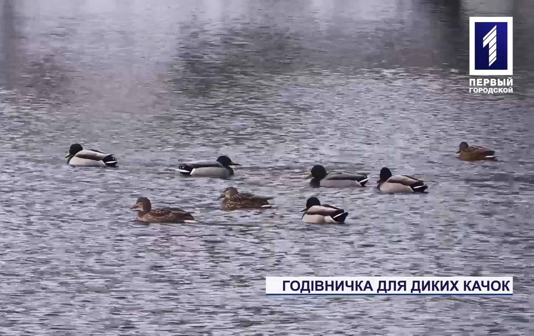 В одному з парків Кривого Рогу встановили годівничку для птахів