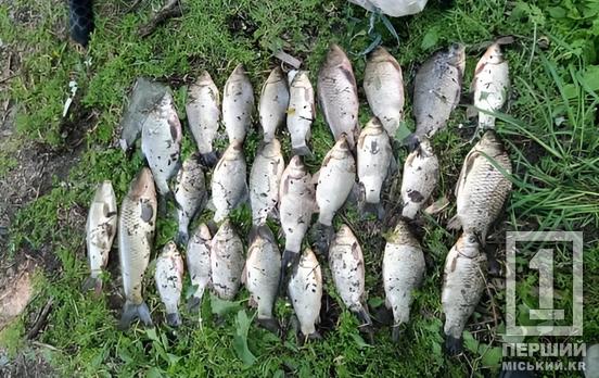 Дев'ять сіток на двох та мільйонний улов: на Криворіжжі викрили грубих порушників нерестової заборони