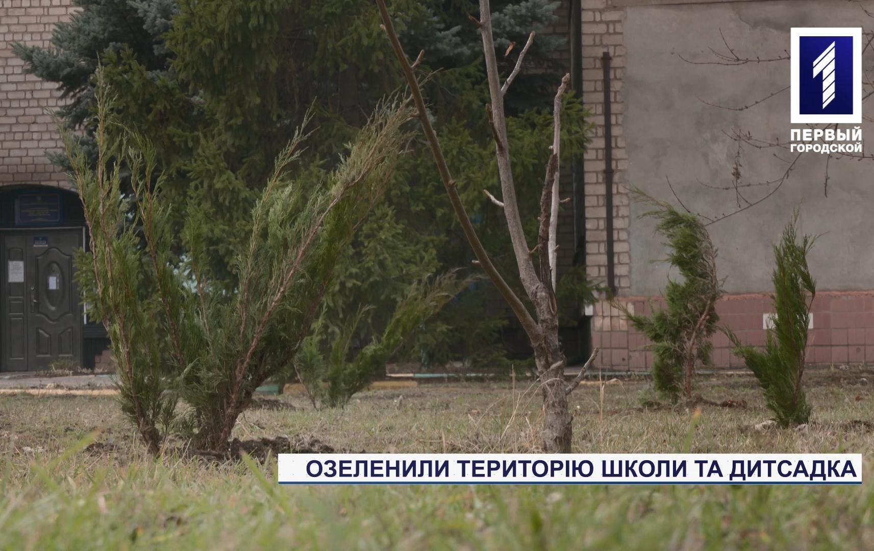 У Кривому Розі озеленили територію школи та дитсадка