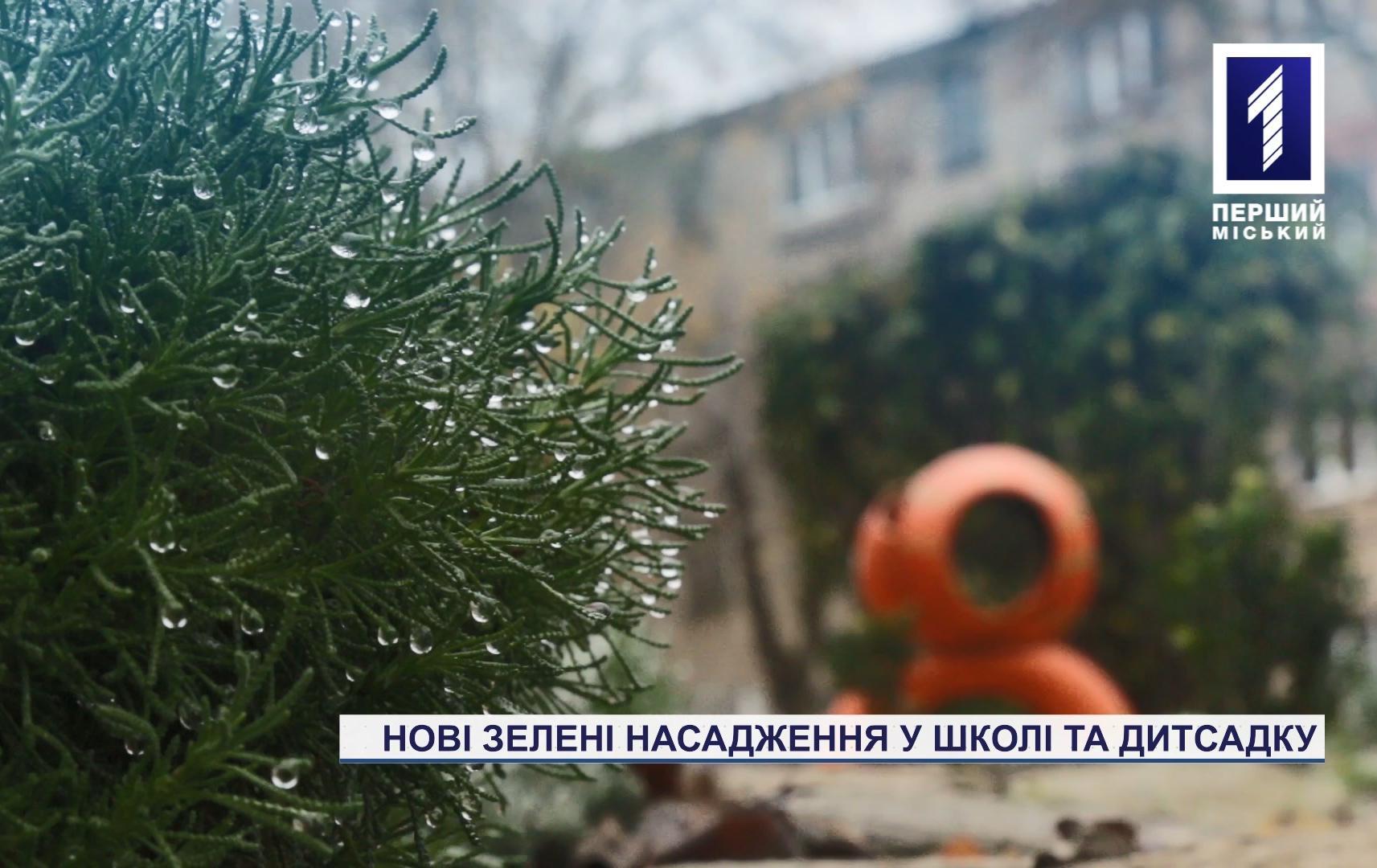 Нові зелені насадження у школі та дитсадку