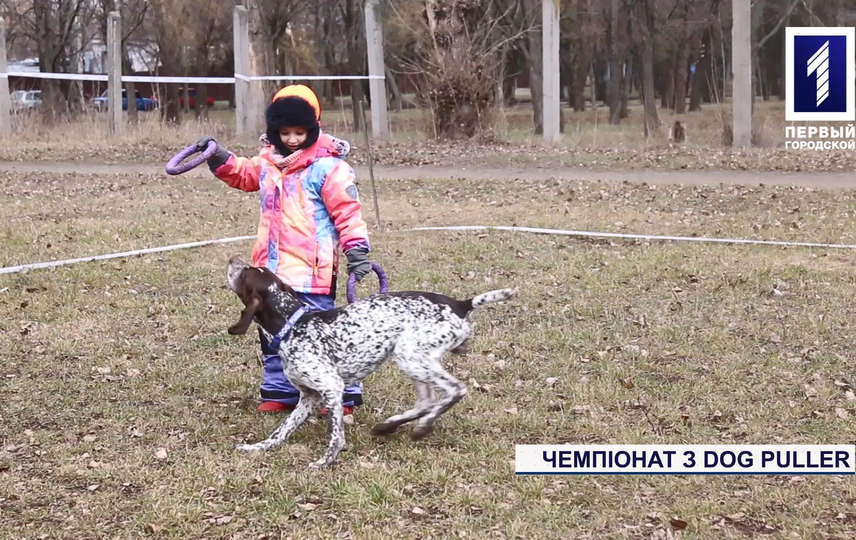 Чемпіонат із Dog Puller у Кривому Розі