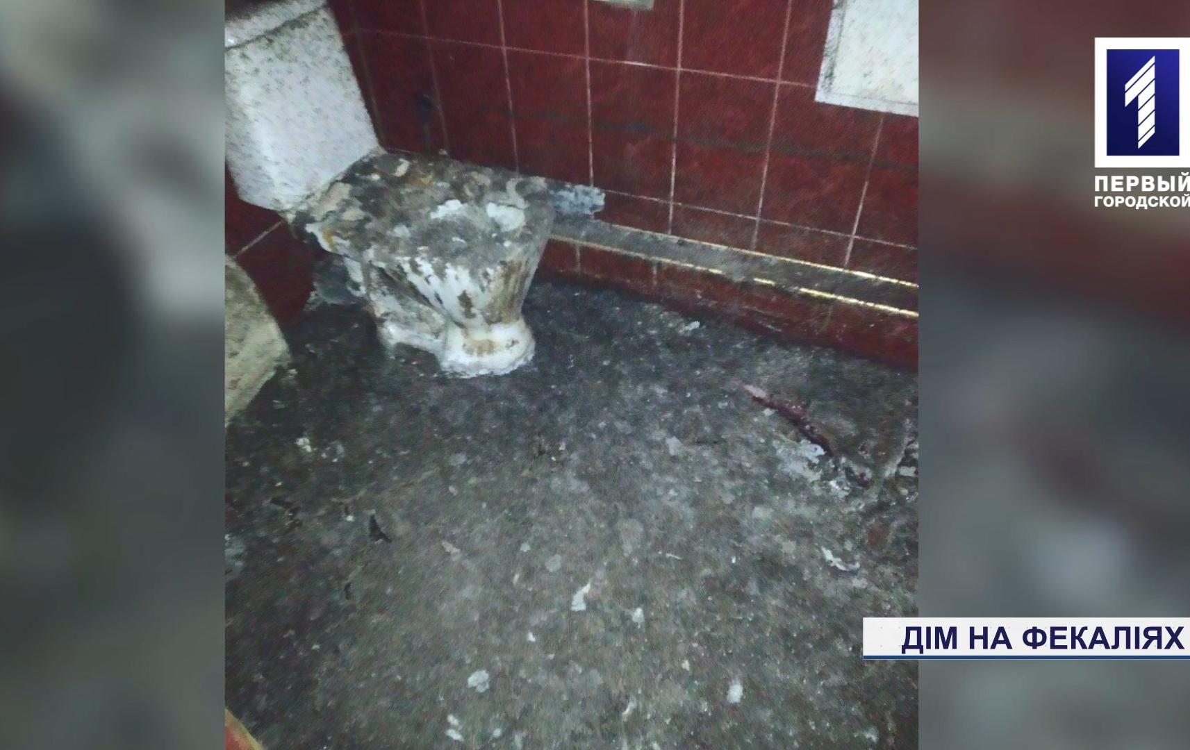 Дім на фекаліях у Кривому Розі